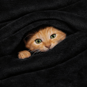 Coberta Manta Microfibra Para Casal 1.80x2.00 Quentinhas