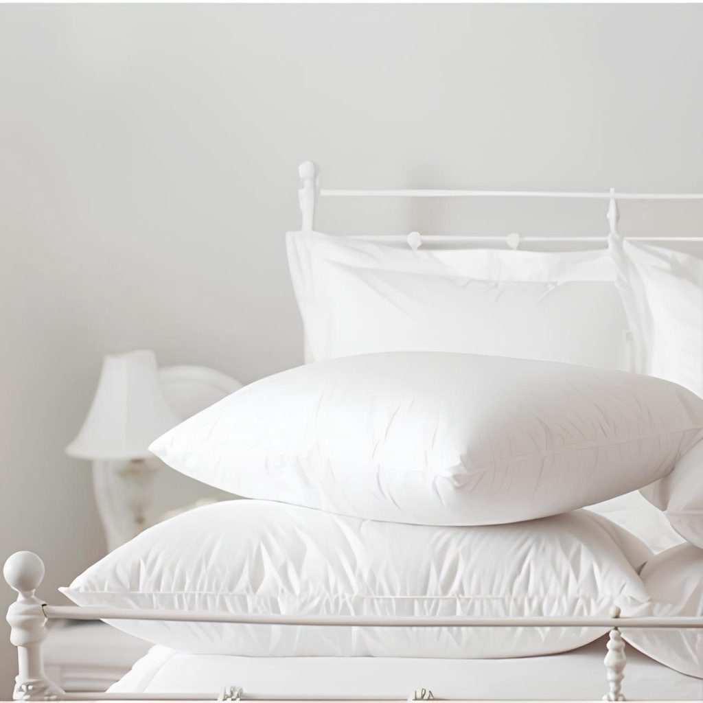 Kit 2 / 1 / 4 Travesseiro Pluma de Ganso Descanso Antiacaro 70x50cm